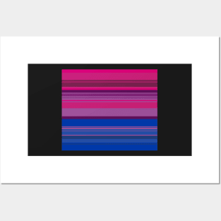 Bisexual Serape Posters and Art